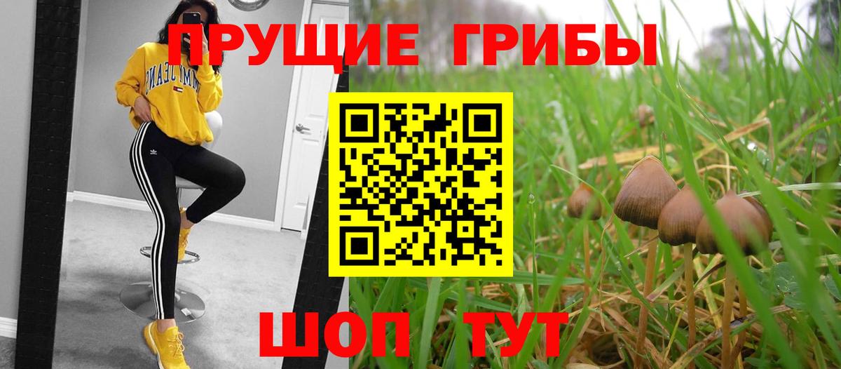 купить наркоту  Галлюциногенные грибы прущие грибы  Вход с VPN  Россия 